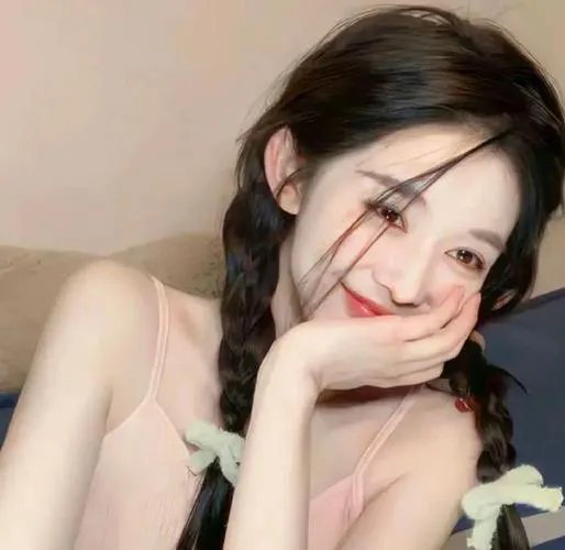 极岛森林第二季